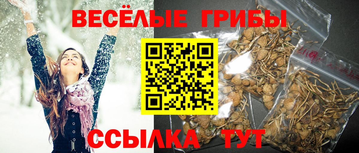 Псилоцибиновые грибы Magic Shrooms  Галлюциногенные грибы ЛСД  Вход с VPN  Волжский 