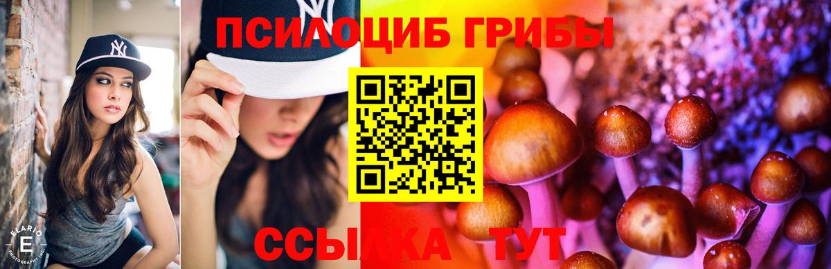 Псилоцибиновые грибы ЛСД Волжский